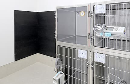 犬入院室